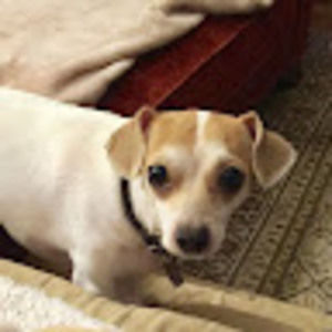 Meet your Posher, Deborah